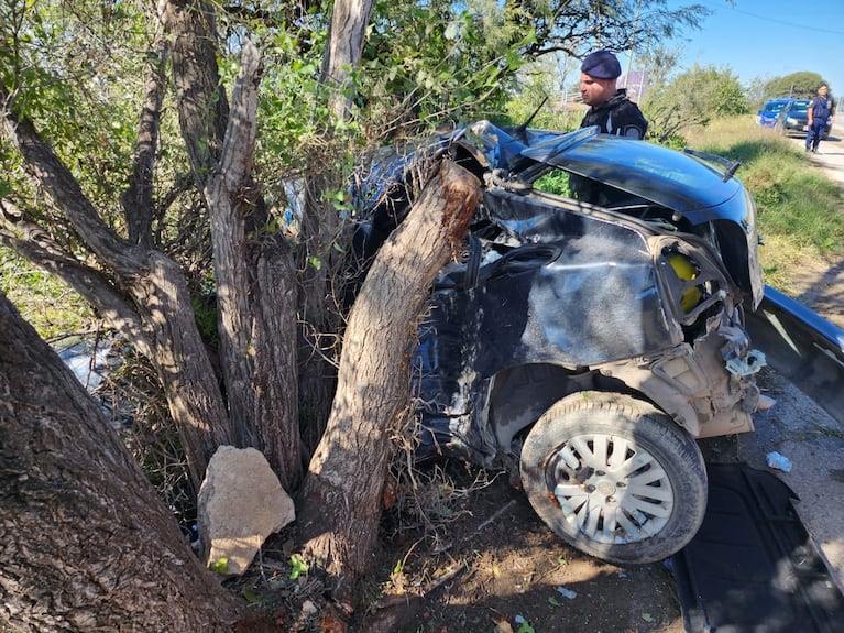El auto, que se estrelló contra un árbol, era robado. 