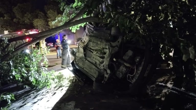 El auto quedó incrustado contra un árbol y tuvieron que sacarlo los Bomberos.