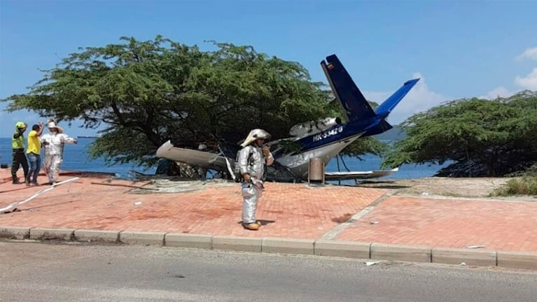 El avión descarriló y chocó contra un árbol.