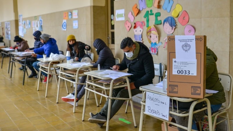 El Bicho Jujeño se presentó a votar con un disfraz particular. 