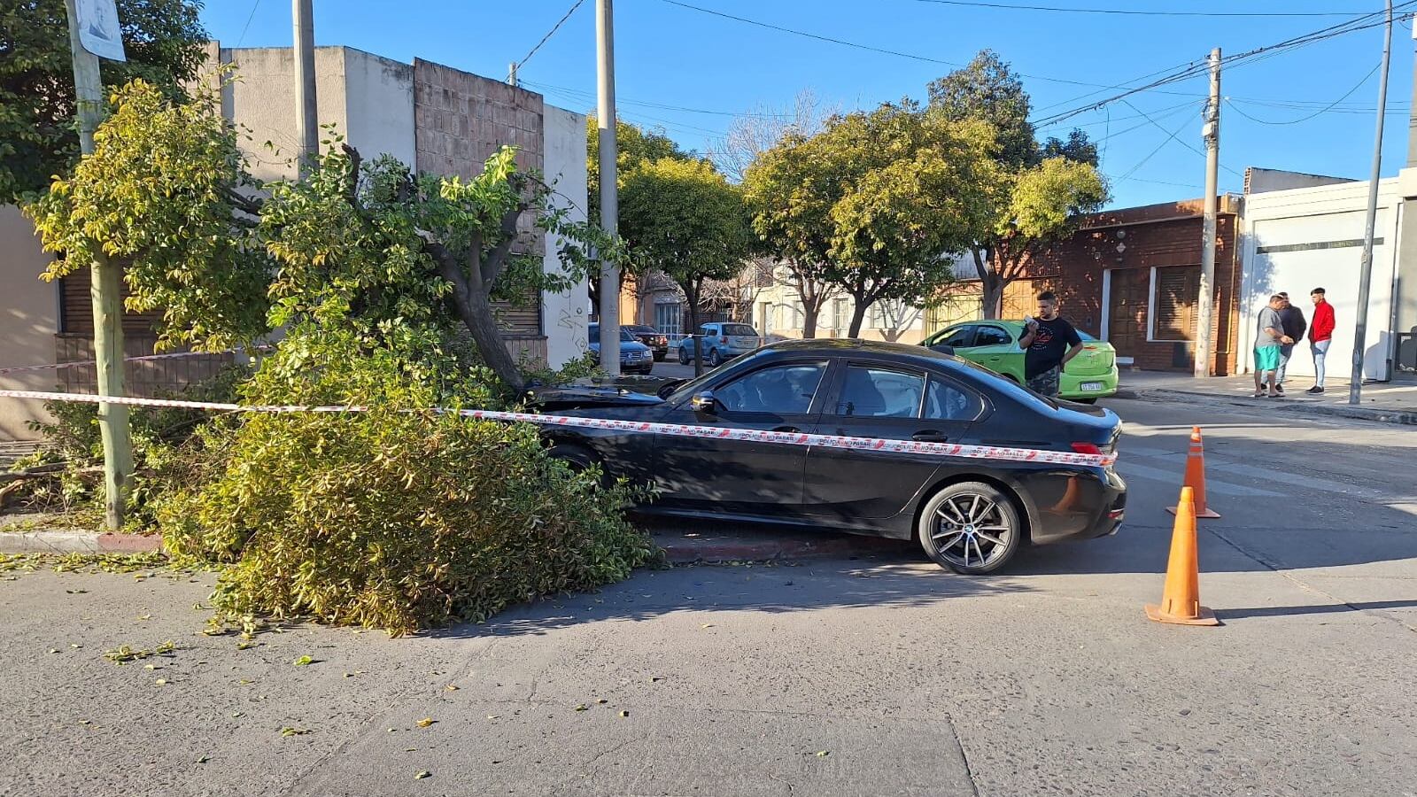 El BMW terminó incrustado en un árbol de una esquina. Foto: Julieta Pelayo / ElDoce.