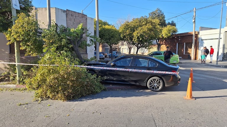 El BMW terminó incrustado en un árbol de una esquina. Foto: Julieta Pelayo / ElDoce.