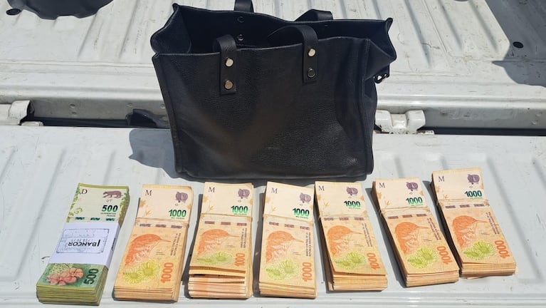 El bolso y el dinero fueron recuperados tras un operativo policial.