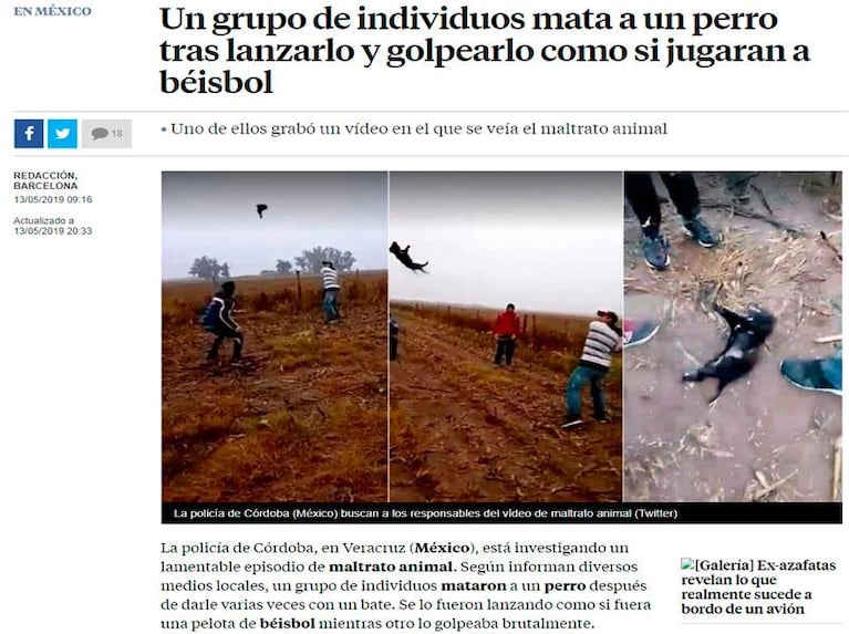 El brutal caso de maltrato animal que sacude al mundo ocurrió en Córdoba en 2018