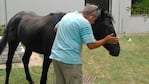 El caballo fue robado de un predio en Juan B. Justo.