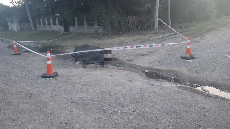 El caballo murió tras la descarga eléctrica.