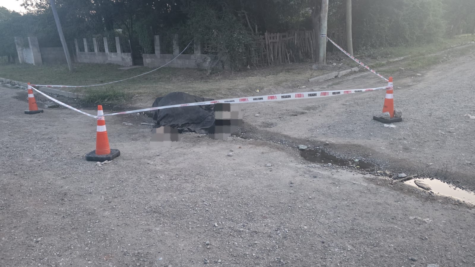 El caballo murió tras la descarga eléctrica por un cable en la calle.