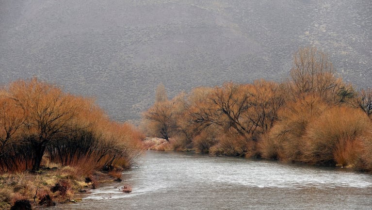 El cadáver apareció sumergido entre ramas en el río Chubut.