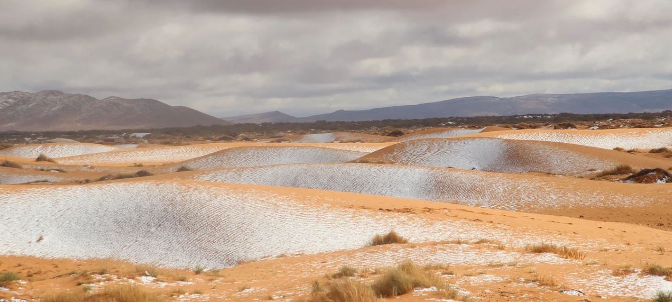 El cambio climático se registra cada vez más en el mundo. Foto: The Grosby Group.