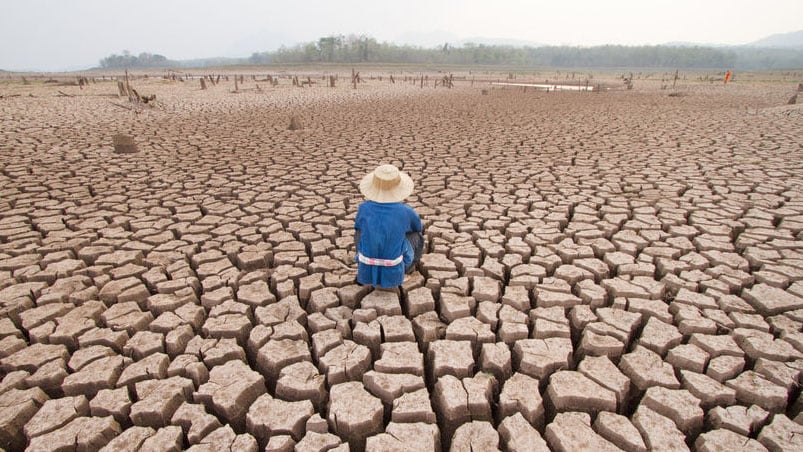 El cambio climático sigue haciendo estragos alrededor del planeta.