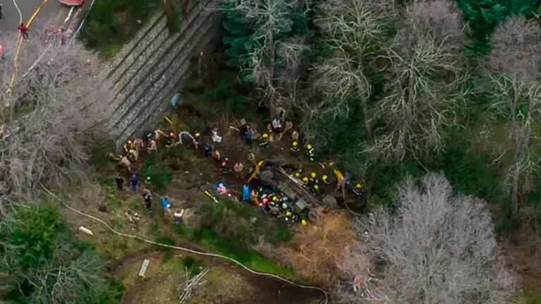 El camión desbarrancó en San Martín de los Andes.