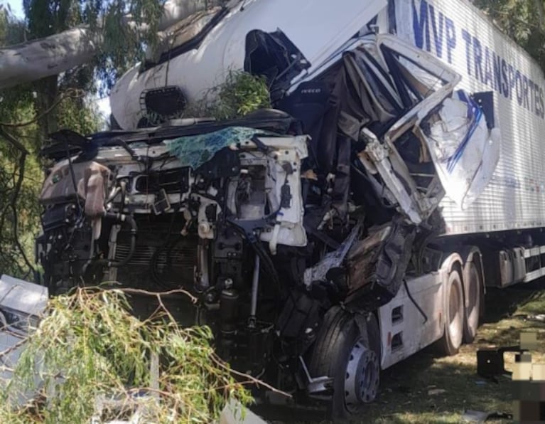 El camión terminó en la banquina tras chocar contra un árbol en la Ruta 7.