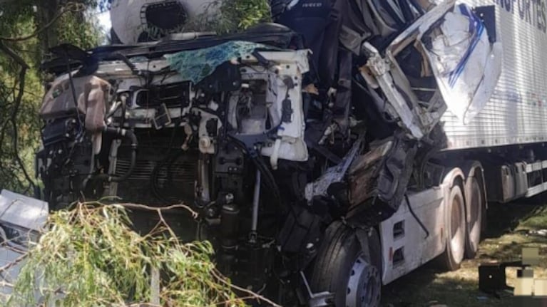 El camión terminó en la banquina tras chocar contra un árbol en la Ruta 7.