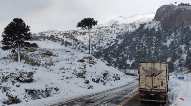 El camionero era oriundo de Brasil y esperaba para cruzar a Chile.