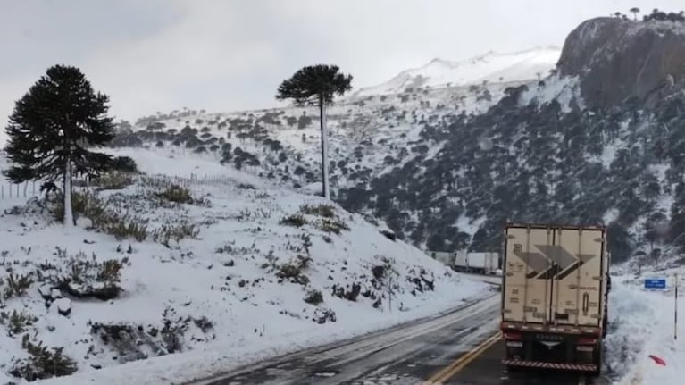 El camionero era oriundo de Brasil y esperaba para cruzar a Chile.
