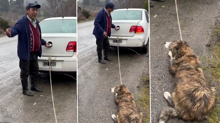 El can iba atado de su cuello al baúl del auto en movimiento.