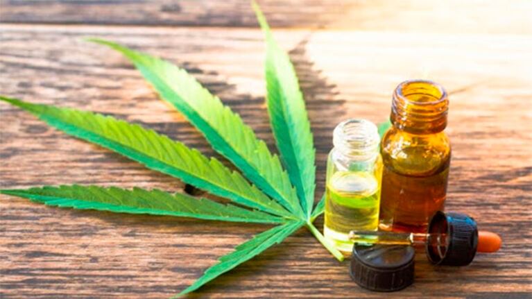 El cannabis medicianal ya es legal en Argentina.