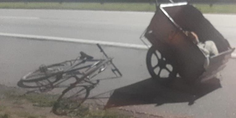 El carrito en donde el hombre llevaba los terneros.