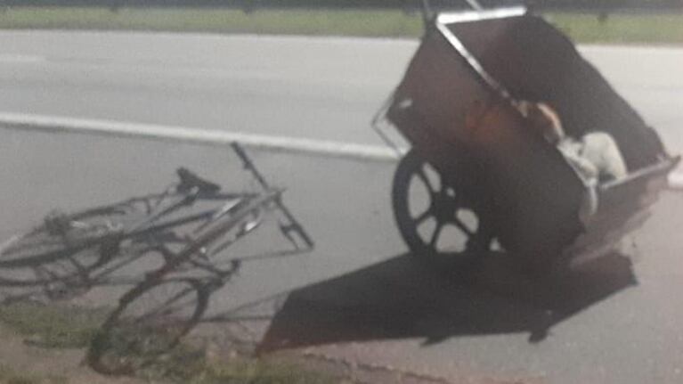 El carrito en donde el hombre llevaba los terneros.