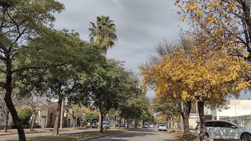 El caso despertó el repudio de los vecinos de la zona. 