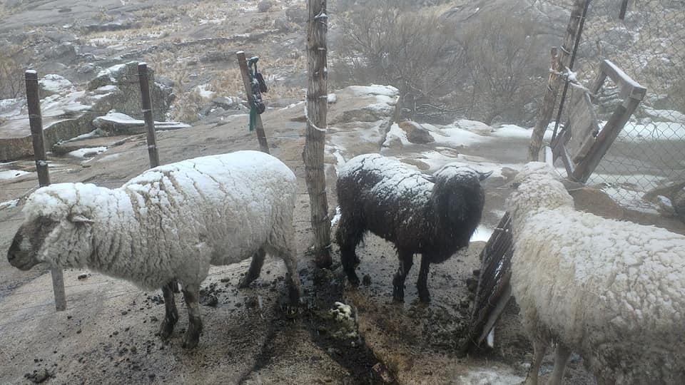 El Cerro Champaquí, tapado de nieve. Foto: Puesto Héctor González.