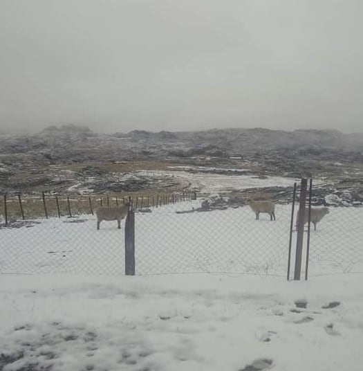 El Champaquí se lució con la nieve. Foto: AG Noticias.