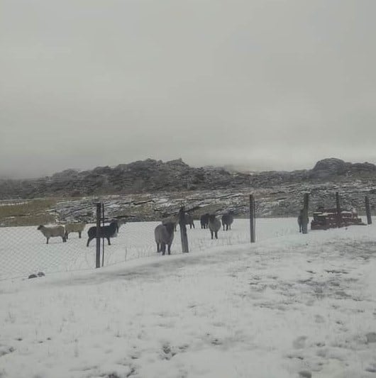 El Champaquí se lució con la nieve. Foto: AG Noticias.