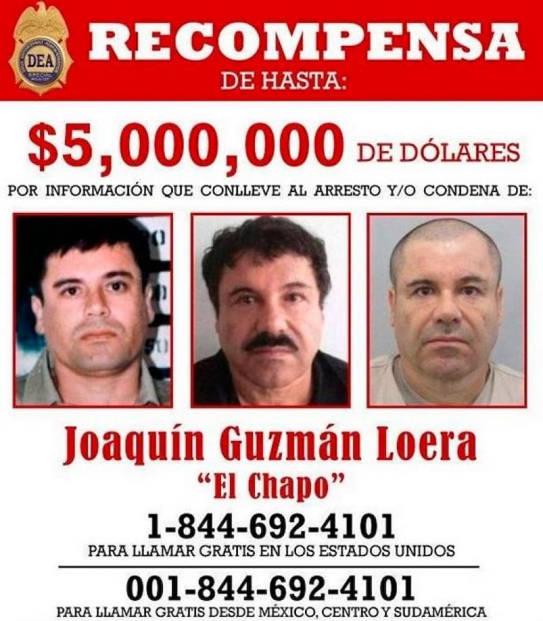 "El Chapo" Guzmán se esconde en el "Triángulo Dorado"