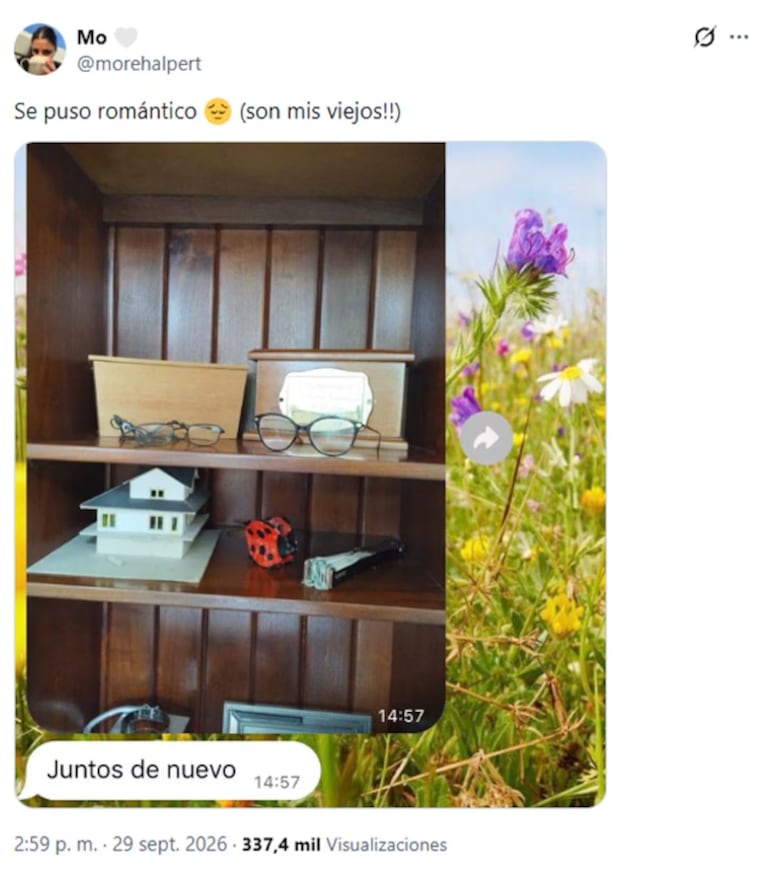 El chat de los hermanos se volvió viral.