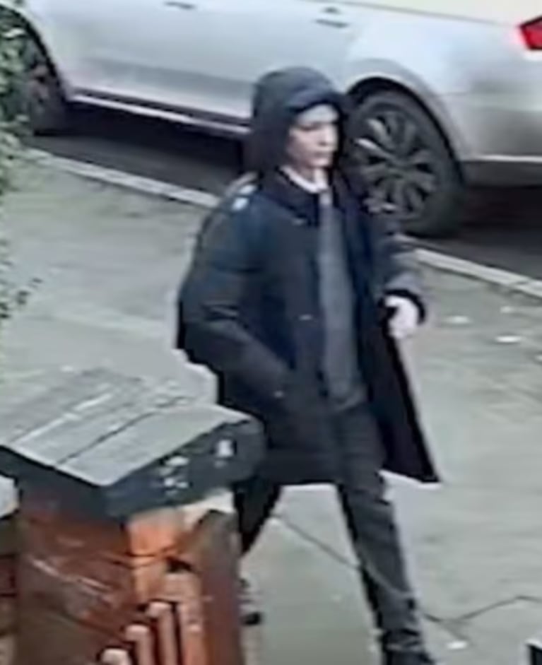 El chico de 15 años asesinó al de 12.