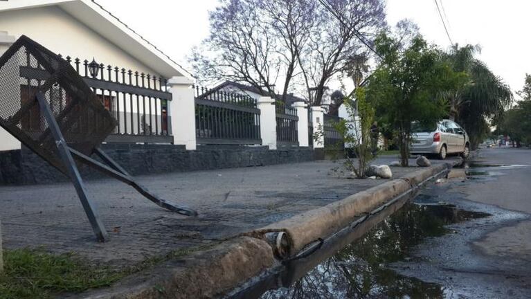 El choque de cada amanecer: salvado por la palmera