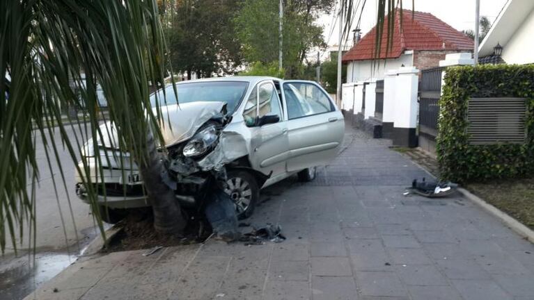 El choque de cada amanecer: salvado por la palmera