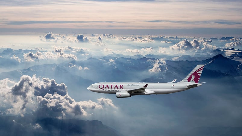 El cielo estuvo tranquilo, la turbulencia venía de los gritos y golpes en el interior del avión.