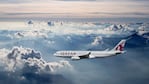 El cielo estuvo tranquilo, la turbulencia venía de los gritos y golpes en el interior del avión.