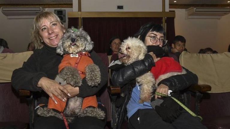 El cine para perros ya es realidad en Argentina: el creador contó su idea en Seguimos