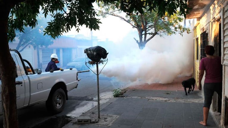 El Comite de Contingencia recomendó descacharrar para hacer más efectivo el combate contra el mosquito.