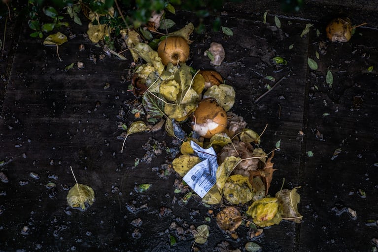 El compost, clave para reducir la cantidad de residuos.
