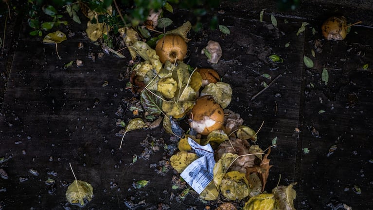 El compost, clave para reducir la cantidad de residuos.