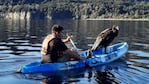 El cóndor ya estaba a salvo en un kayak sobre el lago Traful.