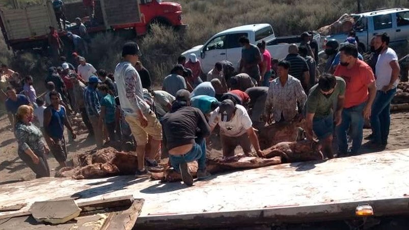 El conductor del camión perdió el control y volcó a un costado de la Ruta 143 norte.