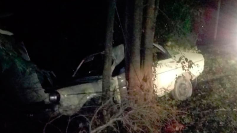 El conductor del Renault 12 se estrelló contra unos árboles.