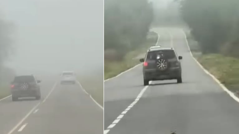 El conductor podría haber ocasionado una tragedia.