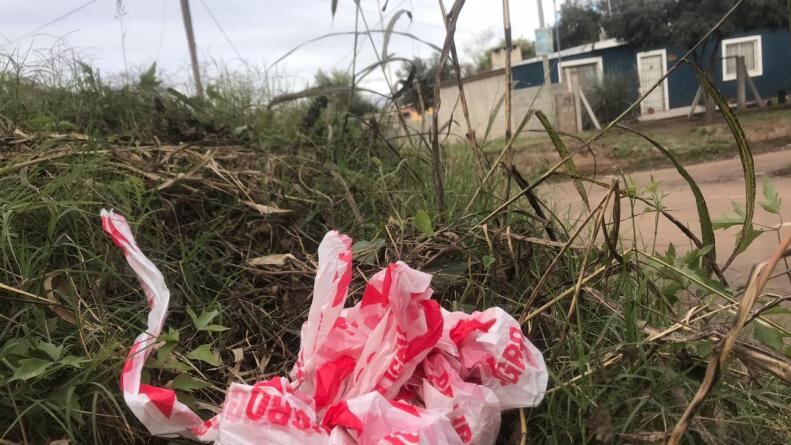 El conductor se había fugado y al parecer estaba escondido en un campo.