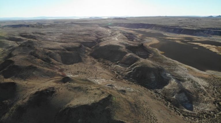 El Conicet encontró uno de los últimos dinosaurios en desaparecer. (Imagen: Conicet).
