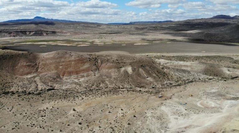 El Conicet encontró uno de los últimos dinosaurios en desaparecer. (Imagen: Conicet).