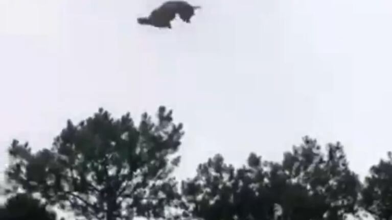 El cordero, en plena caída tras ser lanzado desde la aeronave.
