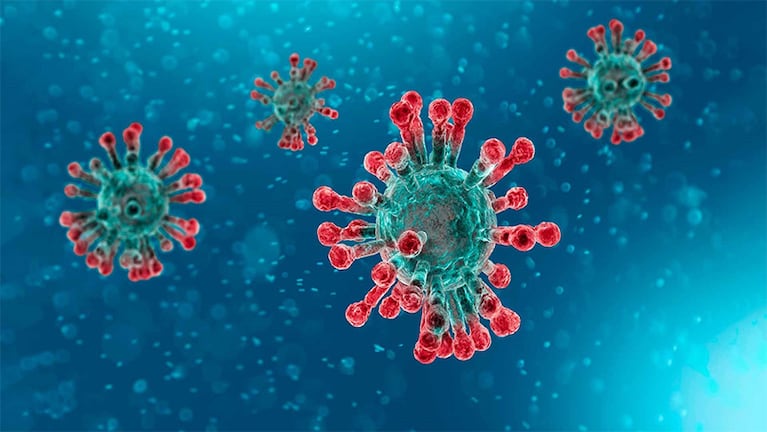 El coronavirus puede vivir hasta 3 días en diferentes superficies.