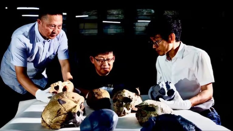 El cráneo encontrado por la Universidad de Fudan.