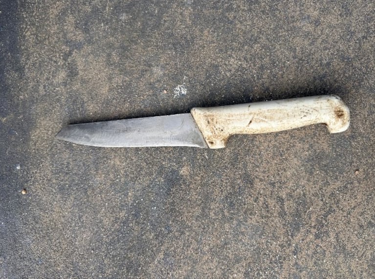 El cuchillo con el que un hombre atacó a su hermano.