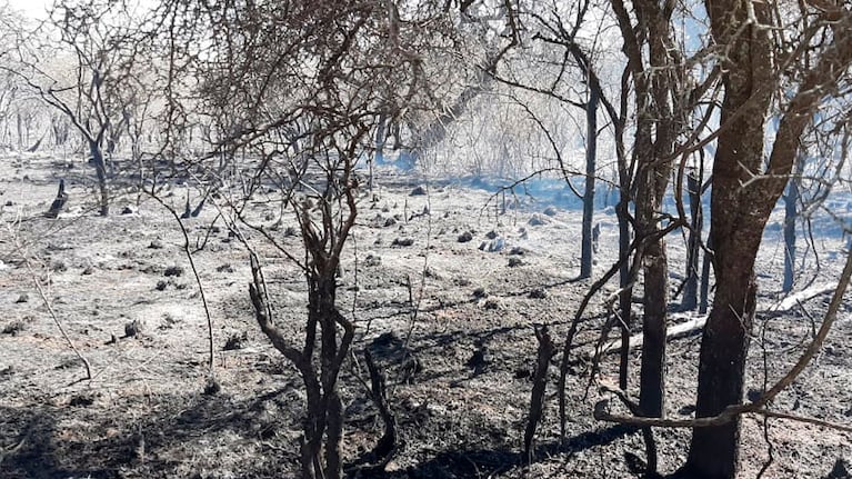 El cuerpo sin vida fue encontrado campo adentro, en cercanías a Santa Elena. (Foto ilustrativa)